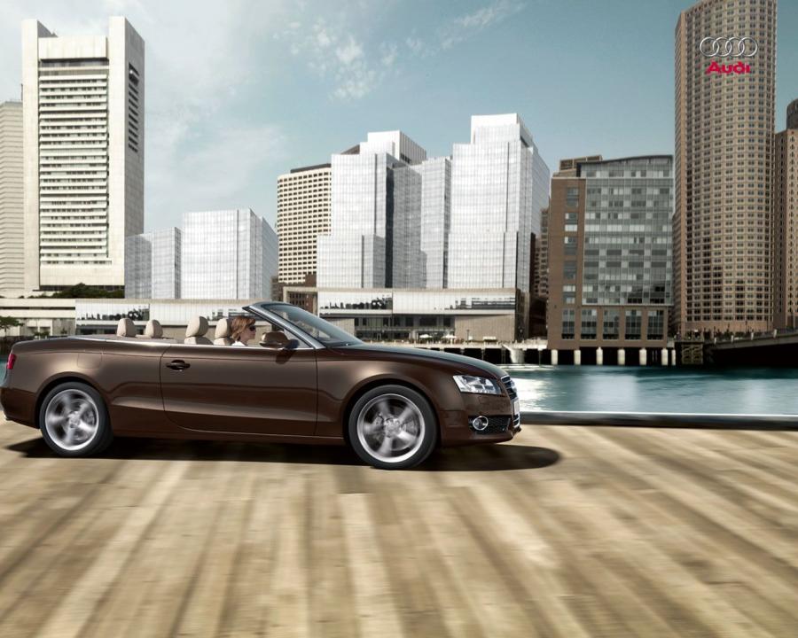  Audi A5 Cabriolet 3.0 TDI 2009 года  (фото 21 из 72)